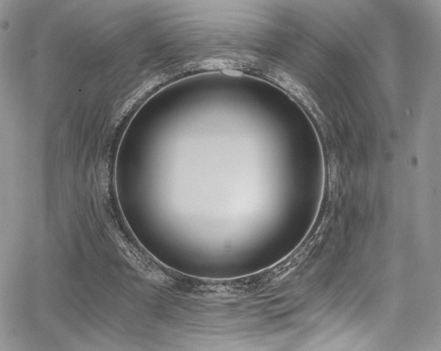 X0000068310297200604211211