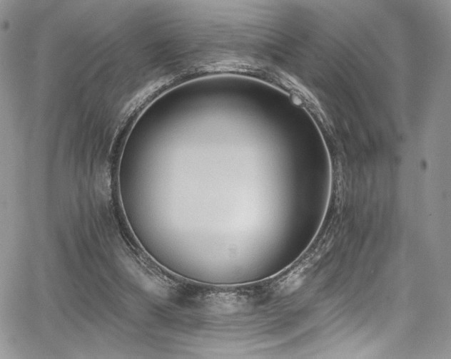 X0000068310298200604211211