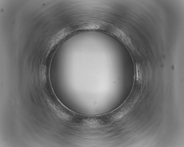 X0000068310300200604211211