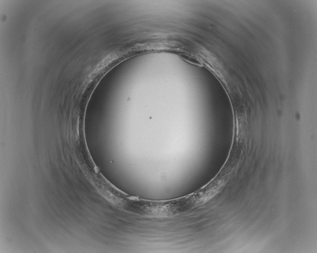 X0000068310301200604211211