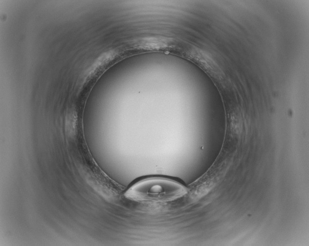 X0000068310304200604211211