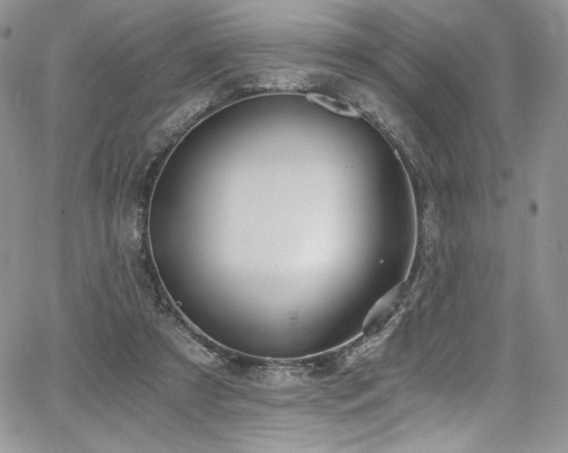 X0000068310305200604211211