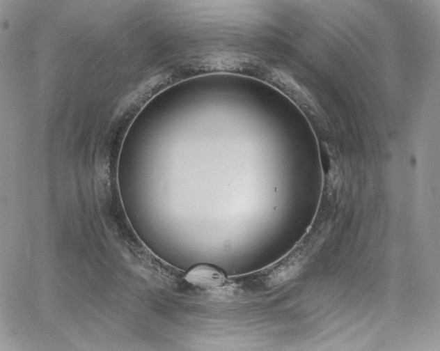 X0000068310306200604211211