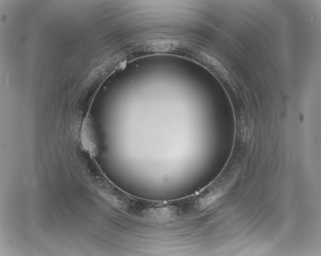 X0000068310307200604211211