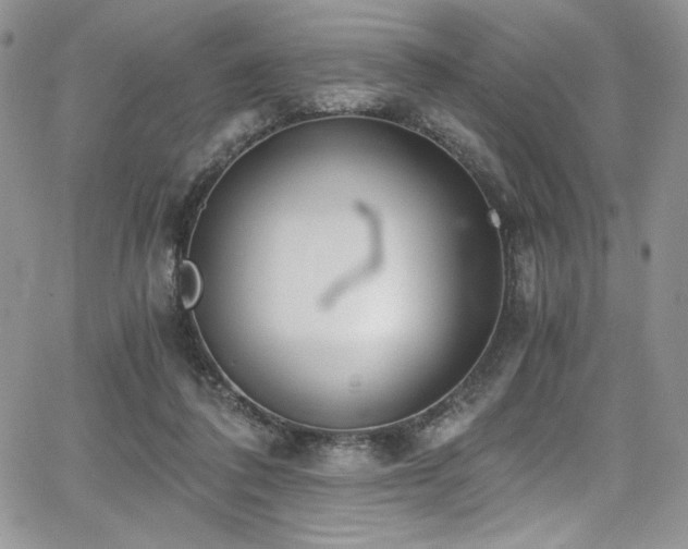 X0000068310308200604211211