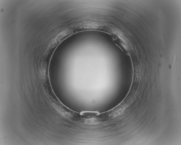 X0000068310309200604211211