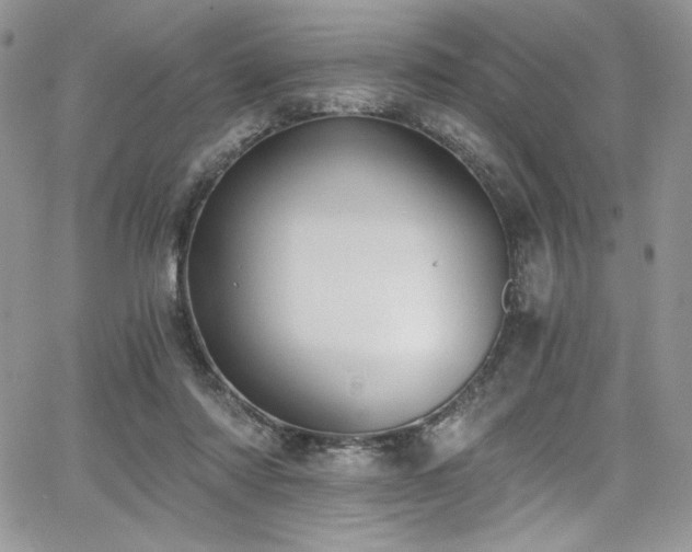 X0000068310310200604211211