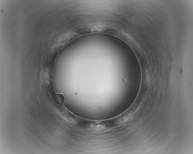 X0000068310311200604211211