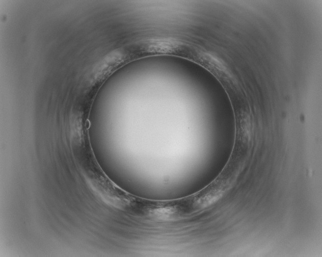 X0000068310312200604211211