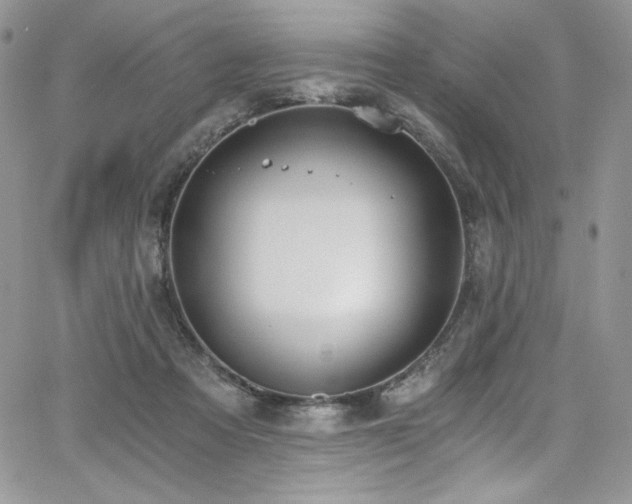 X0000068310313200604211211