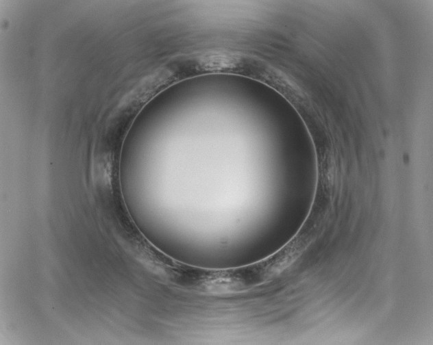 X0000068310315200604211211