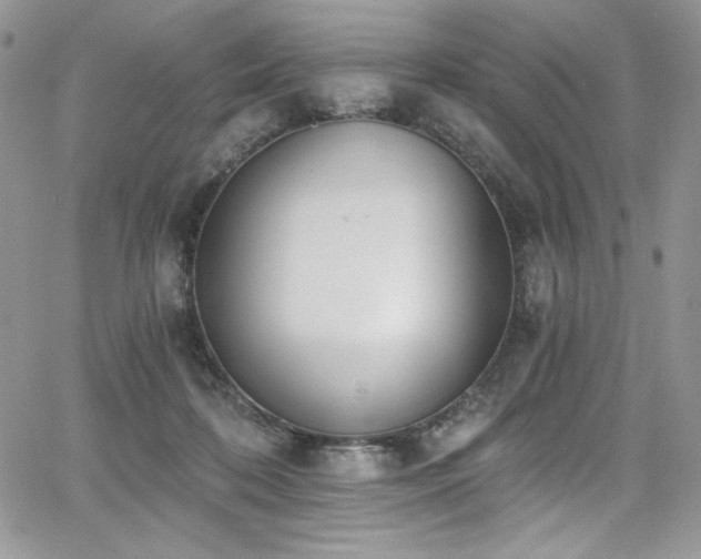 X0000068310316200604211211