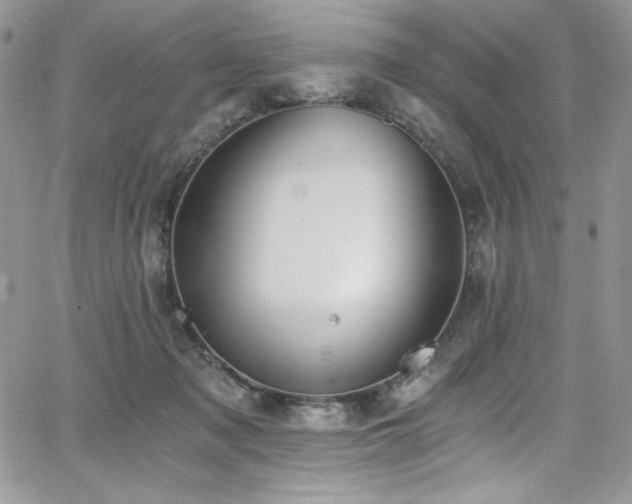 X0000068310317200604211211