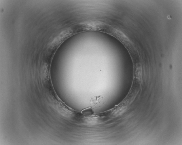 X0000068310318200604211211