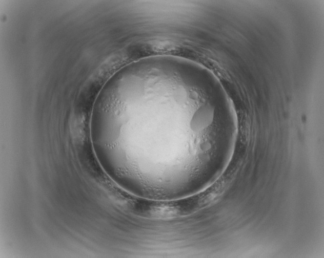 X0000068310319200604211211