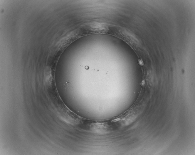 X0000068310320200604211211