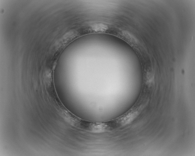 X0000068310321200604211211