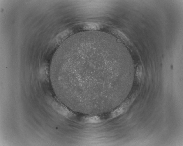 X0000068310322200604211210