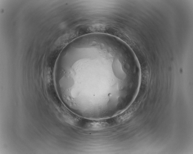 X0000068310323200604211210