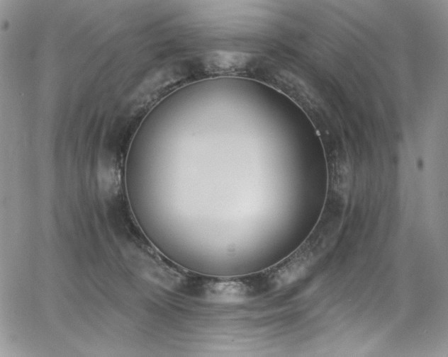 X0000068310324200604211210