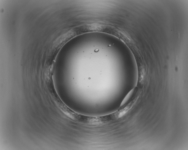 X0000068310325200604211210