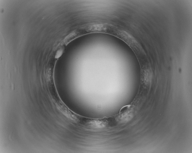 X0000068310326200604211210