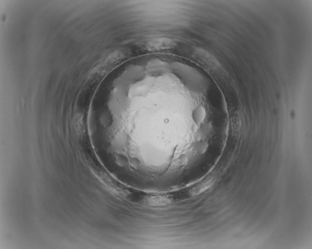 X0000068310327200604211210