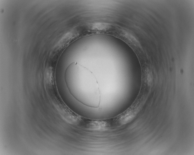 X0000068310328200604211210