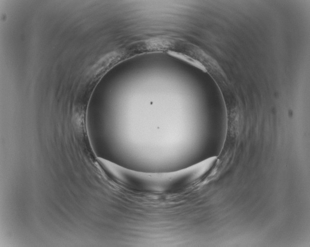 X0000068310329200604211210