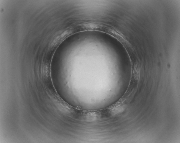 X0000068310330200604211210