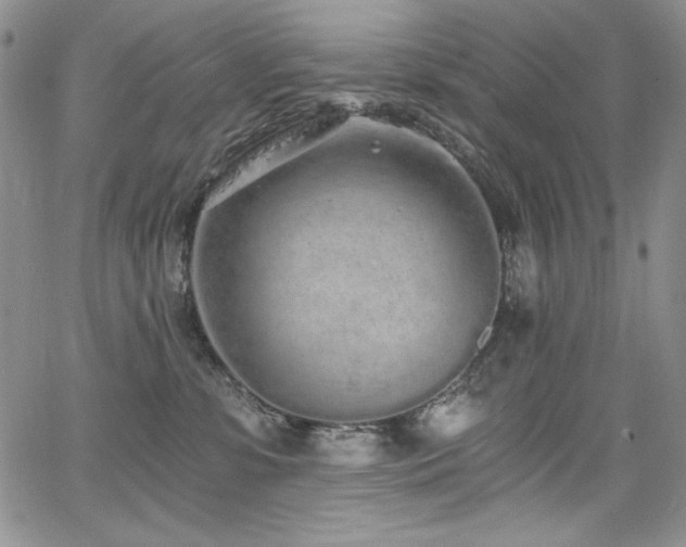 X0000068310331200604211210