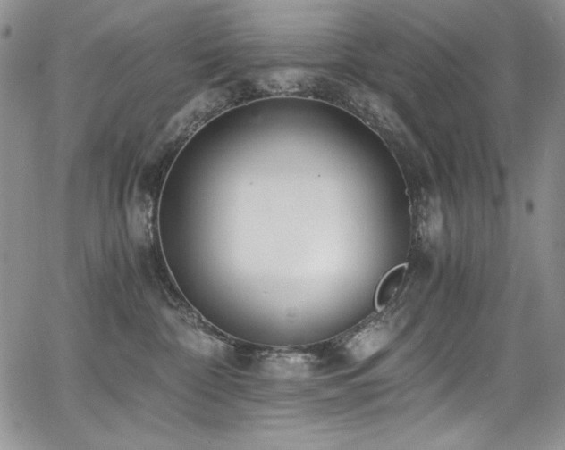 X0000068310332200604211210