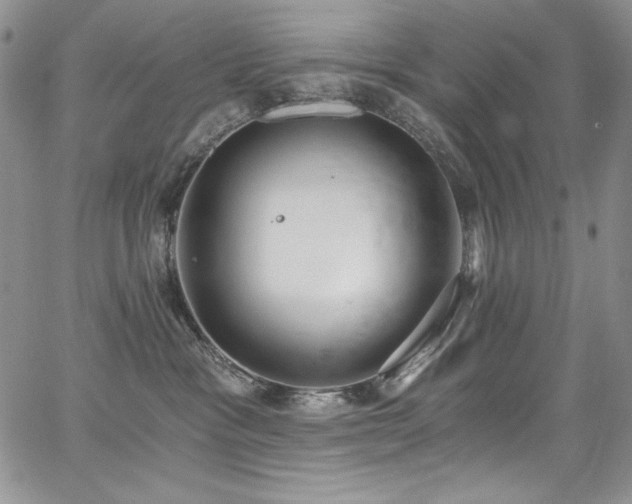 X0000068310333200604211210