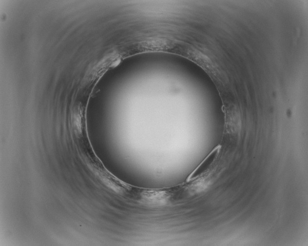 X0000068310334200604211210