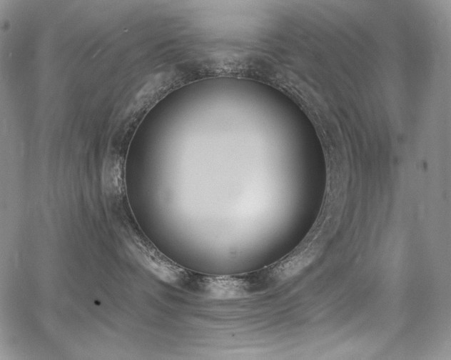 X0000068310336200604211210