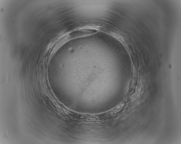 X0000068310337200604211209