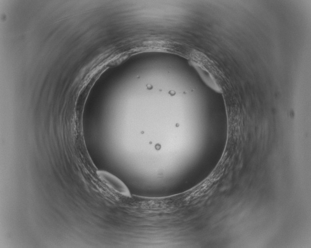 X0000068310338200604211209