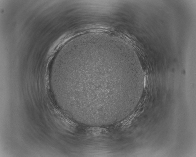 X0000068310339200604211210