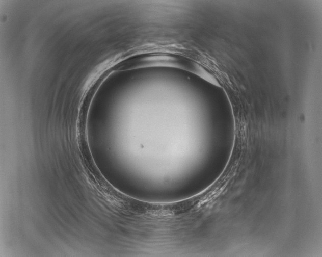 X0000068310340200604211210