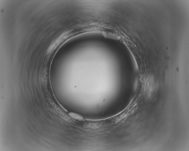 X0000068310341200604211210