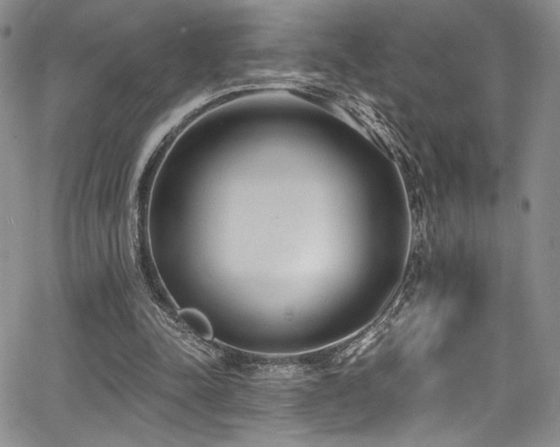 X0000068310342200604211210