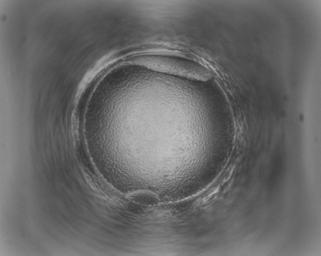 X0000068310343200604211210