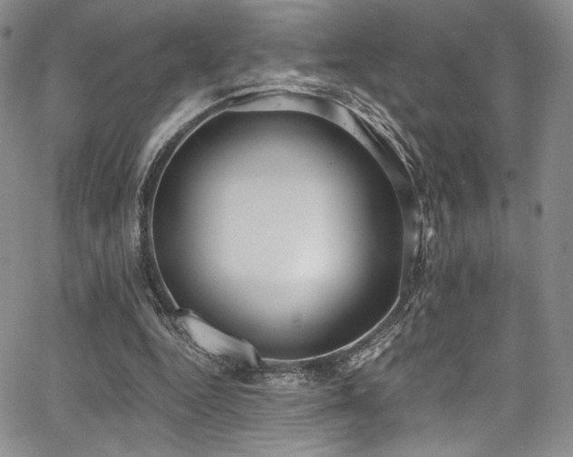 X0000068310344200604211210