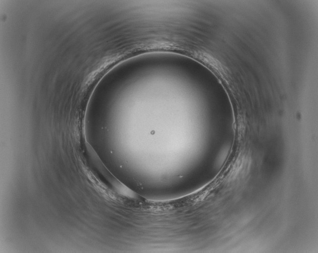 X0000068310345200604211210