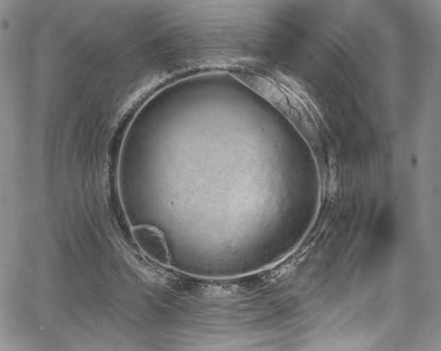 X0000068310346200604211210