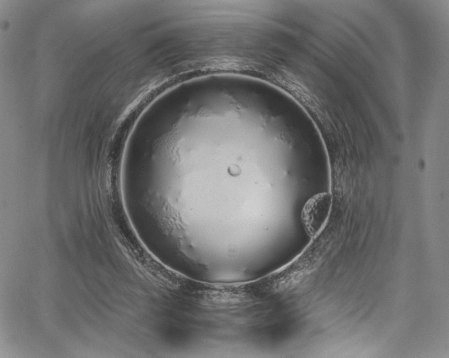 X0000068310347200604211210