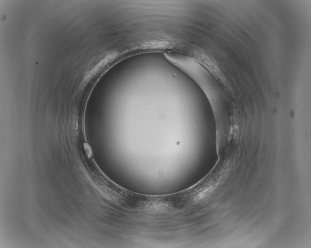 X0000068310348200604211210