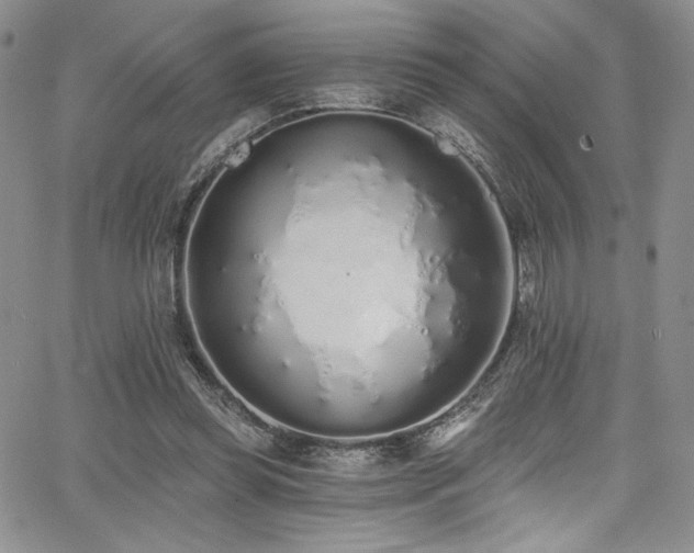 X0000068310349200604211210