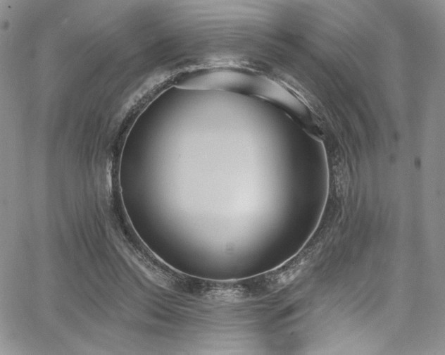 X0000068310350200604211210