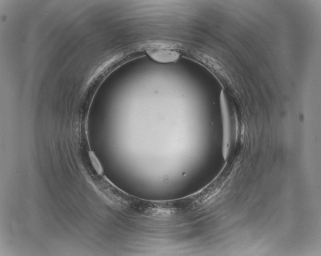 X0000068310352200604211210